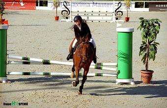 На Дону прошел всероссийский турнир по конному спорту
