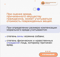 10 11 2024 Как добиться возмещения вреда в результате нападения собаки