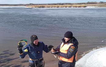 Донские спасатели полезли в ледяную воду ради утенка