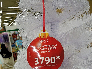 Карли и Клеопатра опередили Деда Мороза...