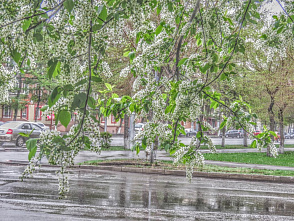 Погода на неделю