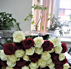  Двойной праздник: весна, красота и юбилей!