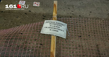 Здание Донской государственной публичной библиотеки стало терять облицовку