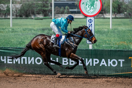 Ростовский ипподром национализирован