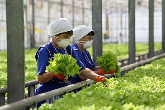 Продукцию агрокомплекса «21 век» отметили знаком «Сделано на Дону»