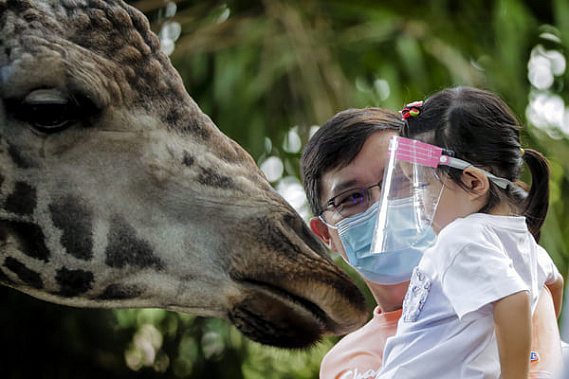 В Сингапуре открыли зоопарки