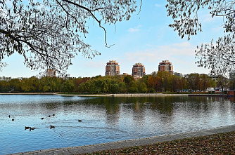 Компанию Бабаевых не выгоняли из парка Дружба