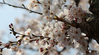 Погода на неделю