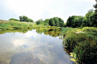 Вечность и миг_25384