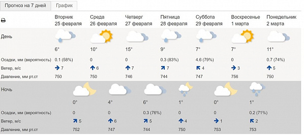 Свои 15 мы возьмем: в Ростовскую область приходит весна