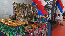 В Ростове прошел благотворительный турнир по спортивной дисциплине косики карате-до