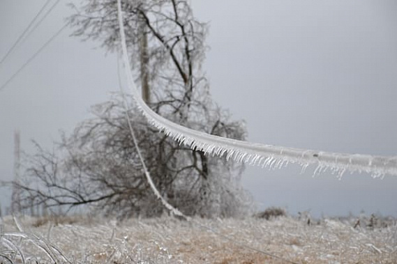В Ростовской области ждут мокрый снег