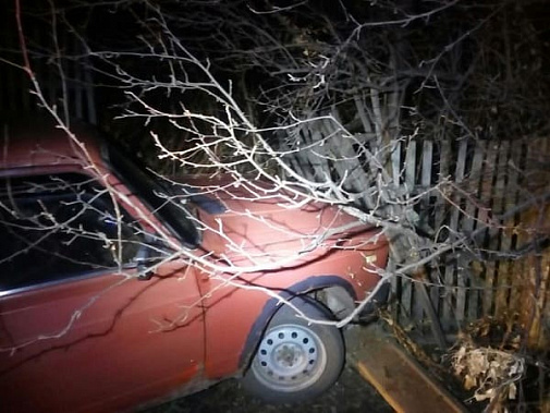 Фото с сайта 123ru.net