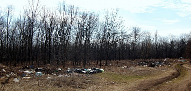 Щупальца свалки: кольцо сжимается