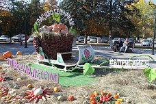 В Белой Калитве общероссийский форум «Женские инициативы»