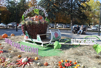 В Белой Калитве общероссийский форум «Женские инициативы»