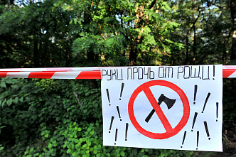 Роща СКА в Ростове передается на баланс муниципалитета