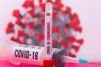 За сутки на Дону выявили 339 новых случаев COVID-19, 279 выписано