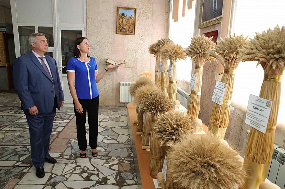 Заведующая лабораторией селекции и семеноводства озимого ячменя, ученый секретарь по селекции и растениеводству АНЦ «Донской» Александра ДОНЦОВА знакомит Василия ГОЛУБЕВА с достижениями коллег. Фото с сайта donland.ru Заведующая лабораторией селекции и семеноводства озимого ячменя, ученый секретарь по селекции и растениеводству АНЦ «Донской» Александра ДОНЦОВА знакомит Василия ГОЛУБЕВА с достижениями коллег. Фото с сайта donland.ru