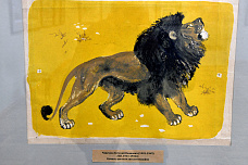 31 01 2026 Областной музей изобразительных искусств зовет в мир животных