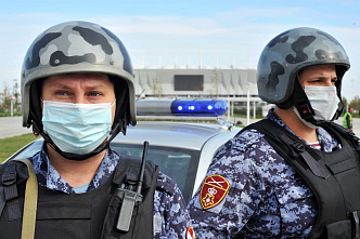 Украсть не дадим