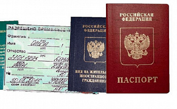 Ловкая женщина с берегов Дона обещала гражданство доверчивым иностранцам