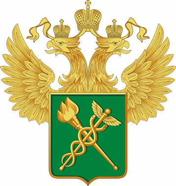 С 15 сентября в Ростове полноформатно заработает Южная электронная таможня