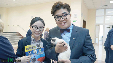 Как кошки-крошки звездами стали