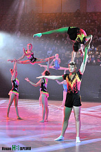 Год финалом завершен