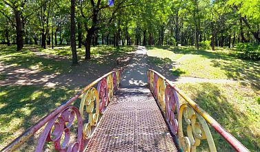 Роща «Дубки» в Таганроге должна сохраниться