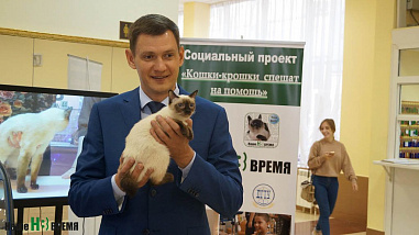 Как кошки-крошки звездами стали