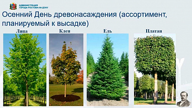 Ростов готовится к осеннему Дню древонасаждения
