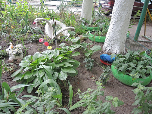 Живучесть резиновой «живности» 