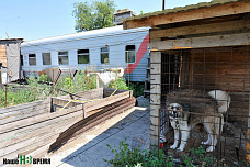 Собрать судьбу из осколков