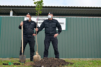 Ростовские ОМОНовцы высадили деревья