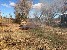 В хуторе Погорелов высадили фруктовые деревья