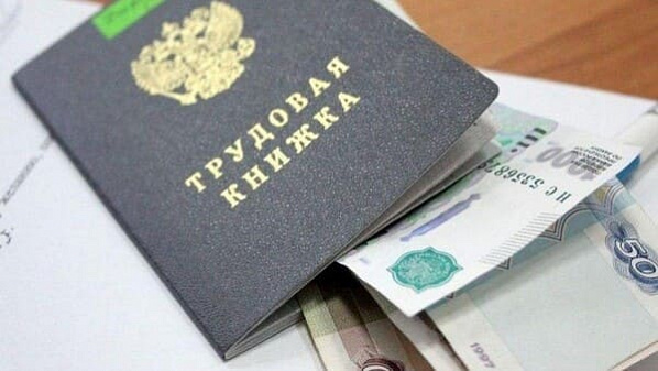 В Зернограде будут судить бывшую главу местной станции по борьбе с болезнями животных