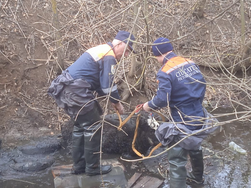 Фото: пресс-служба ведовства 