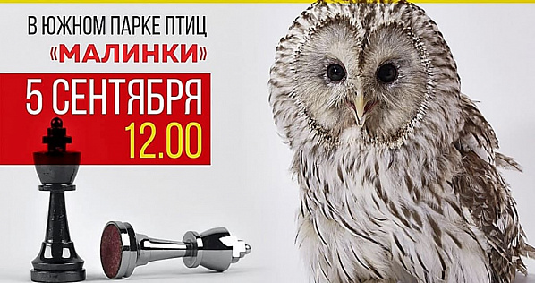 Для участников этого рапида экскурсии в парке «Малинки» будут бесплатными.