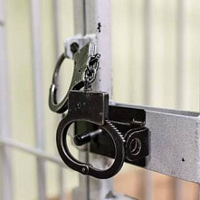 За попытку ударить полицейского жителя Шолоховского района приговорили к 2 годам