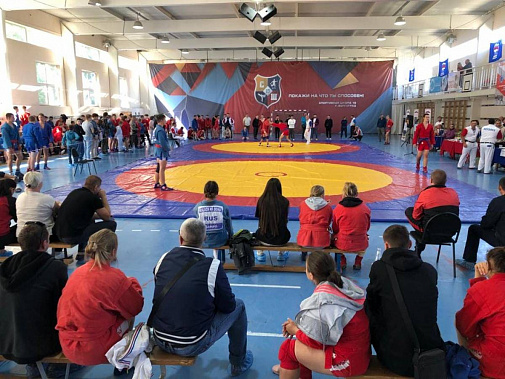 Юные донские самбисты отличились в Волгограде