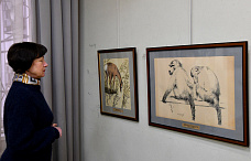 31 01 2026 Областной музей изобразительных искусств зовет в мир животных