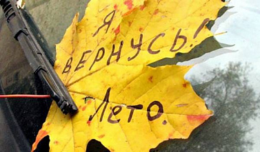 На Дону отменили последний день бабьего лета