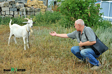 Через тернии... к сыру