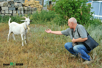Через тернии... к сыру