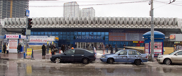 «А олени лучше»…