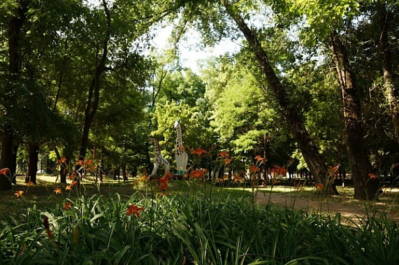 Ростовские власти дали «добро» на спил деревьев в парке им. Островского