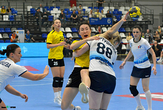 ГК «Ростов-Дон» в трудном матче дома одолел звенигородскую «Звезду»