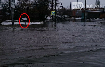 В Шахтах пикетировали лужу