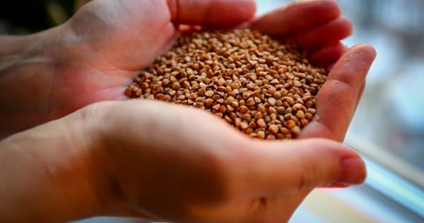 Детям подсунули просрочку